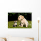 Yellow Lab Puppy And Kitten Wall Decal