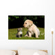 Yellow Lab Puppy And Kitten Wall Decal