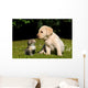 Yellow Lab Puppy And Kitten Wall Decal