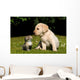 Yellow Lab Puppy And Kitten Wall Decal