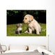 Yellow Lab Puppy And Kitten Wall Decal