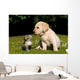 Yellow Lab Puppy And Kitten Wall Decal