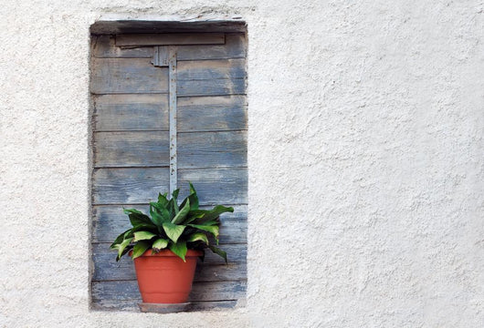 Plant Pot Old House Wall Decal
