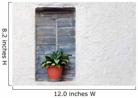 Plant Pot Old House Wall Decal