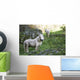 Poney Blanc Wall Decal