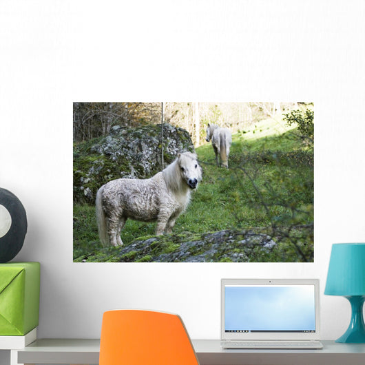 Poney Blanc Wall Decal