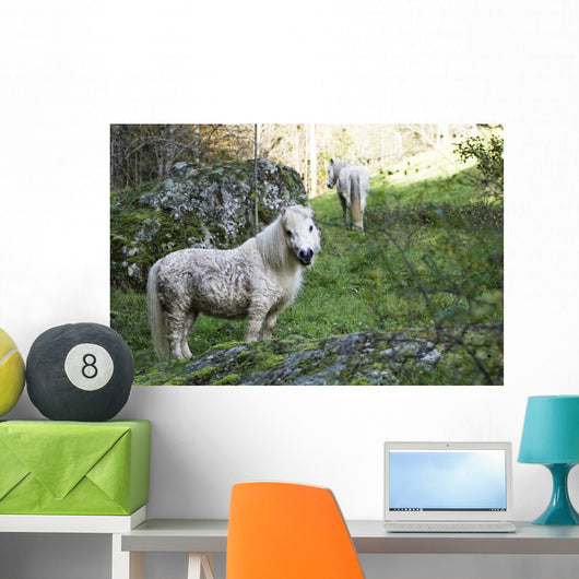 Poney Blanc Wall Decal