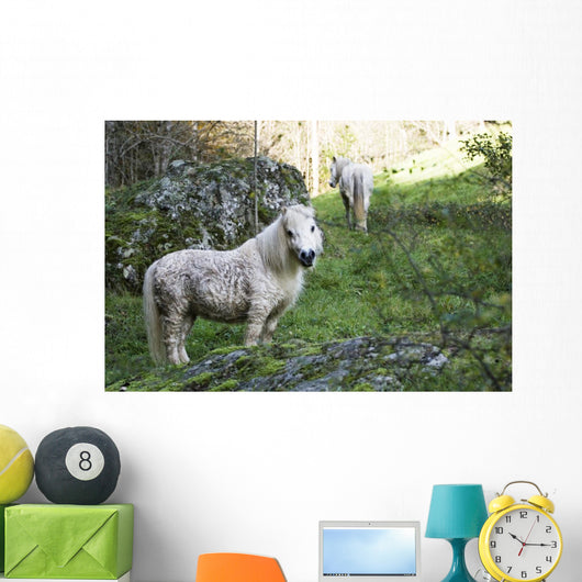 Poney Blanc Wall Decal