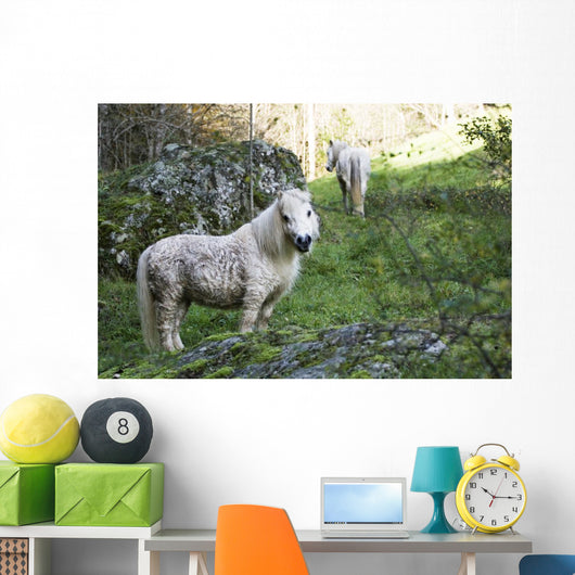 Poney Blanc Wall Decal