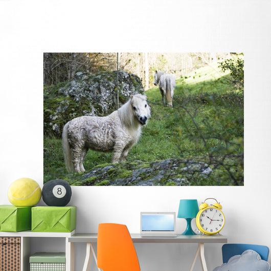 Poney Blanc Wall Decal