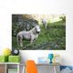 Poney Blanc Wall Decal