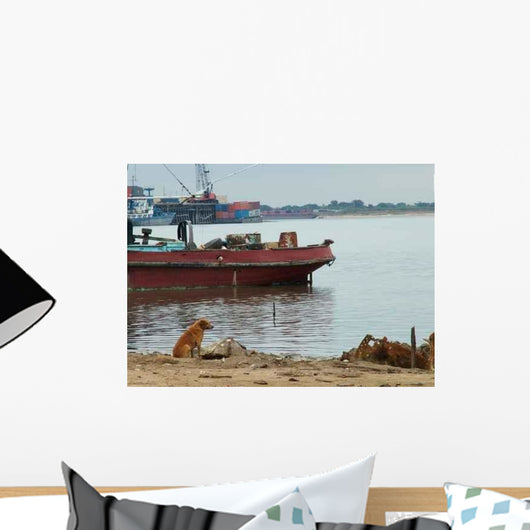 Asuncion Wall Decal