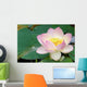 Sacred Lotus Flower Wall Decal