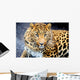 Leopard Wall Decal