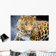 Leopard Wall Decal