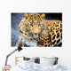 Leopard Wall Decal