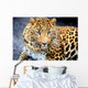 Leopard Wall Decal