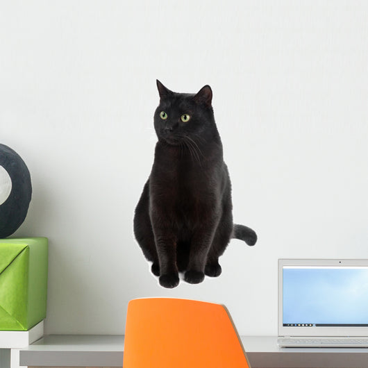 Black Cat Wall Decal