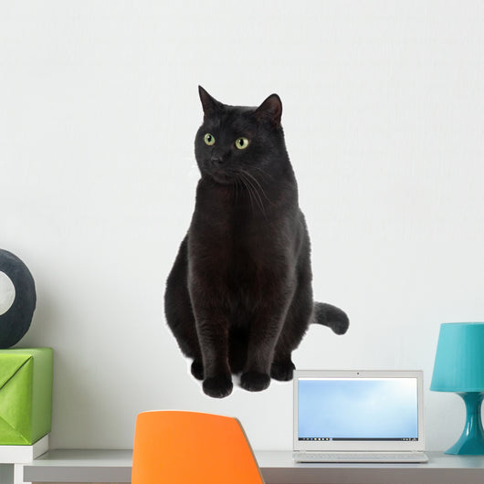 Black Cat Wall Decal