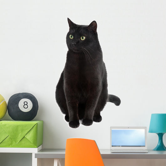 Black Cat Wall Decal