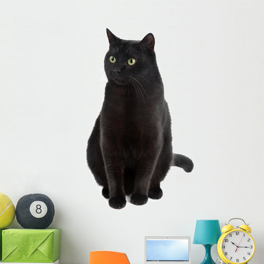 Black Cat Wall Decal