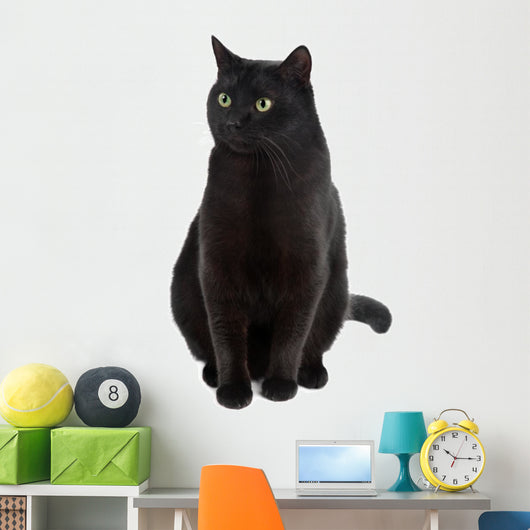 Black Cat Wall Decal