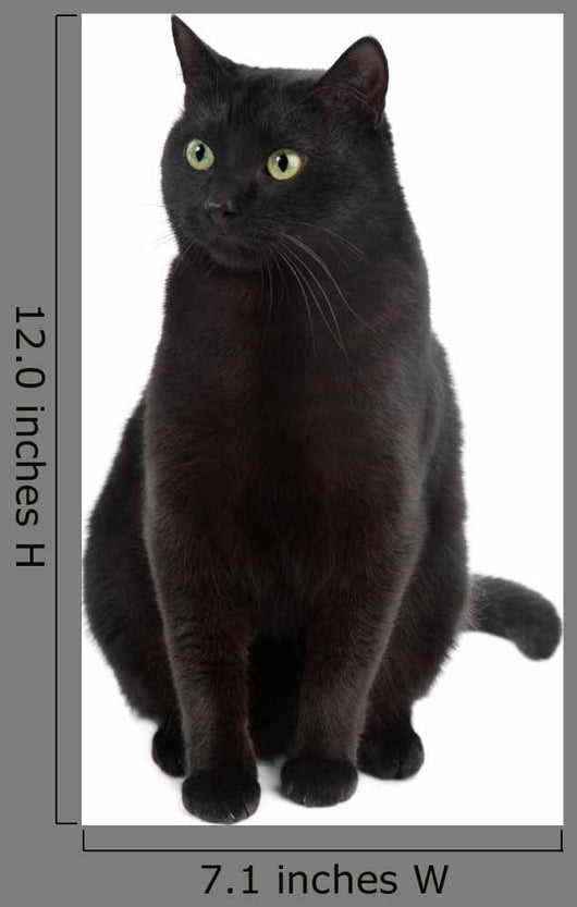 Black Cat Wall Decal