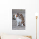 Monkeys Checking For Fleas Wall Decal