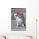Monkeys Checking For Fleas Wall Decal