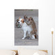Monkeys Checking For Fleas Wall Decal