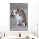 Monkeys Checking For Fleas Wall Decal