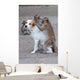 Monkeys Checking For Fleas Wall Decal