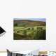 Fields Form Pattern Yorkshire Wall Decal