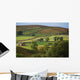 Fields Form Pattern Yorkshire Wall Decal