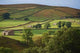 Fields Form Pattern Yorkshire Wall Decal