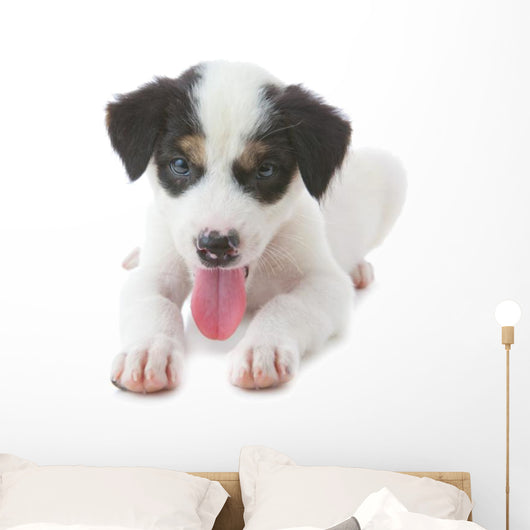 Puppy Dog Wall Decal
