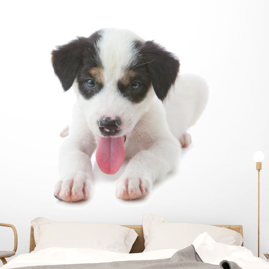 Puppy Dog Wall Decal