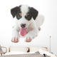 Puppy Dog Wall Decal