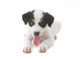 Puppy Dog Wall Decal