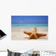 Starfish in the Sand Wall Decal