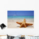Starfish in the Sand Wall Decal