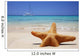 Starfish in the Sand Wall Decal