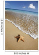 Starfish on the Beach Wall Decal