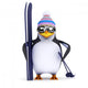 3D Penguin Famous Skier Wall Decal