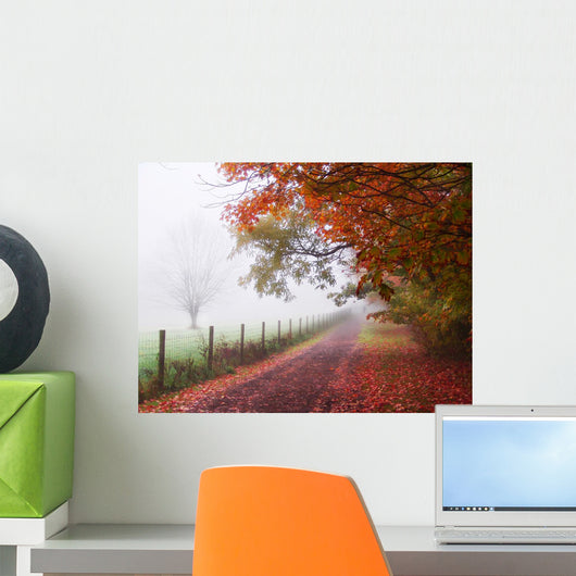 Misty Autumn Morning Wall Decal