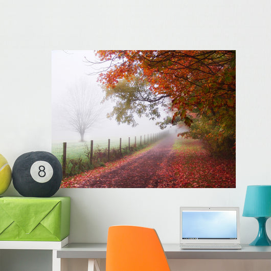 Misty Autumn Morning Wall Decal