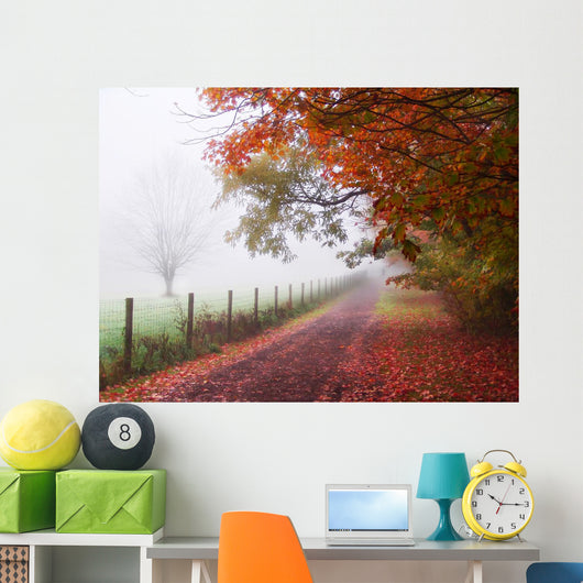 Misty Autumn Morning Wall Decal