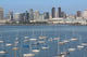 San Diego California Wall Decal