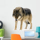 Gray Wolf Canis Lupus Wall Decal