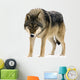 Gray Wolf Canis Lupus Wall Decal